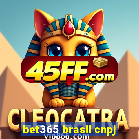 bet365 brasil cnpj